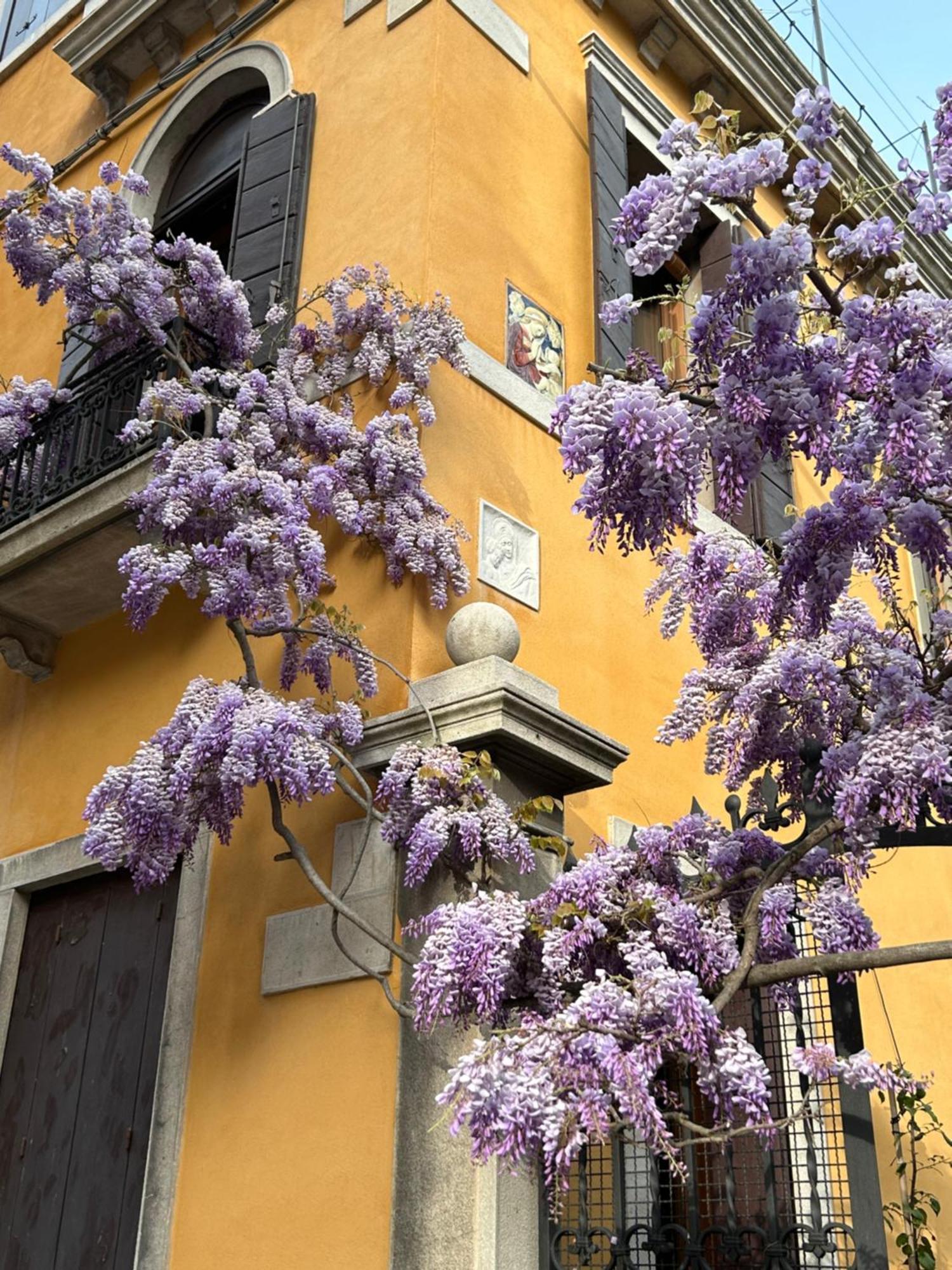 Carbonaia Guest house